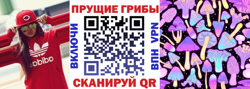 Псилоцибиновые грибы Cubensis  ОМГ ОМГ маркетплейс  Ильский 